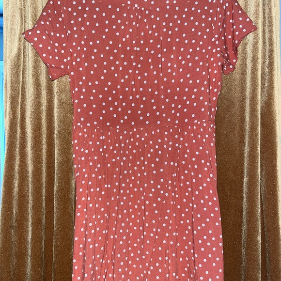 Indigo Rose Polka Dot Button Down Collar Dress - Picture 4 of 4